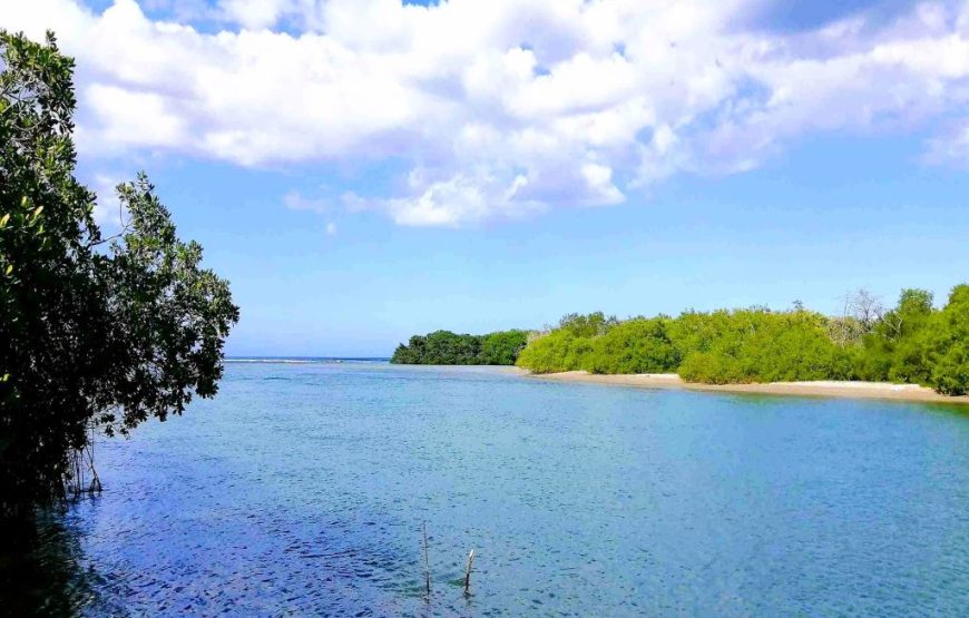 The Paradise Island Catamaran.