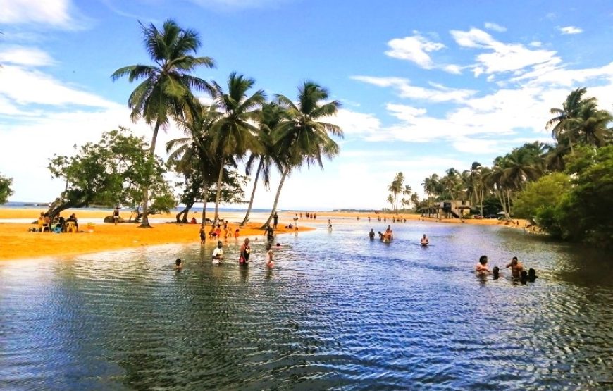 NOWOŚĆ!! DZIKIE PLAŻE PÓŁNOCY: SZLAK PLAŻ PÓŁNOCY + SAMANA DZIKIE PLAŻE (2 DNI)