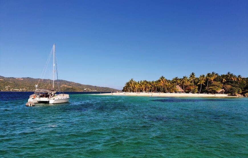 Samana Whales.