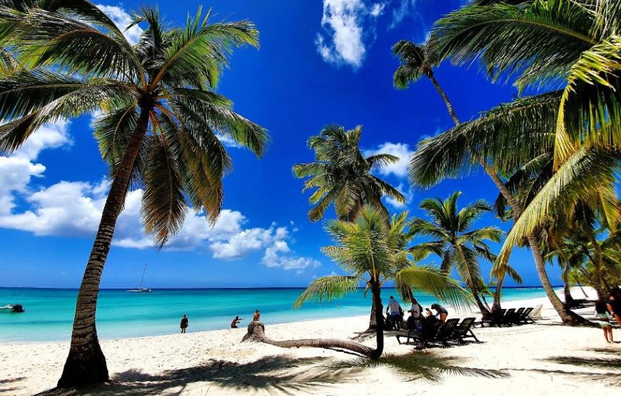 Saona Island Catamaran.