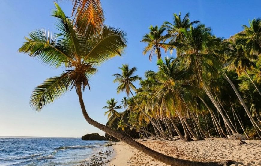 Samana Dzikie Plaże