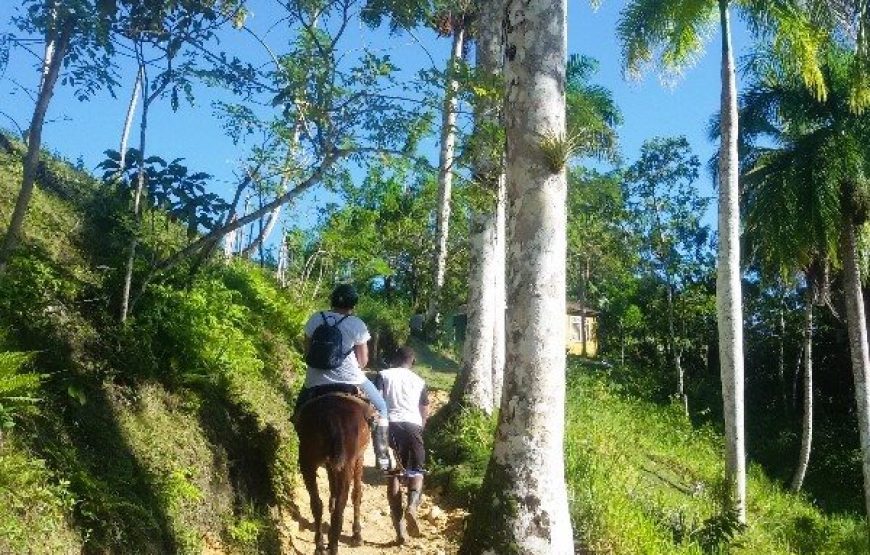 Samana Wild Beaches.