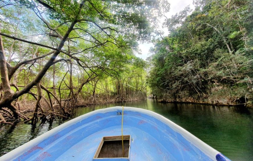 Samana Peninsula Unknown - 2 days.