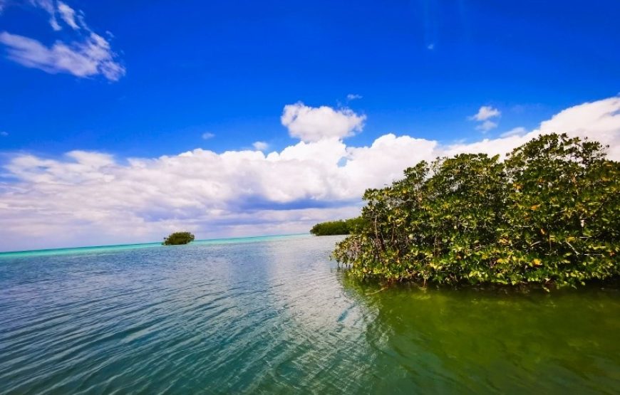 Saona Island Taste of Adventure - No Commercialization.