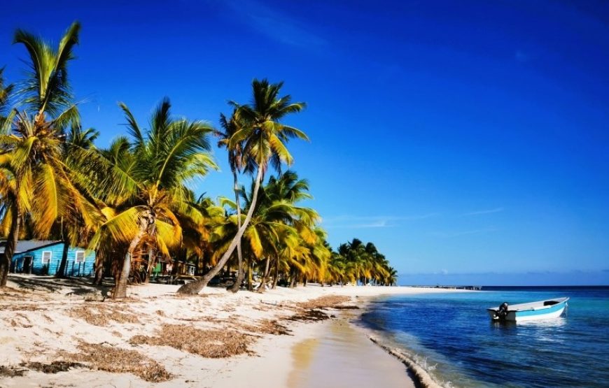 PALMS UNDER THE STARS: Saona Island for 2 days + Santo Domingo.