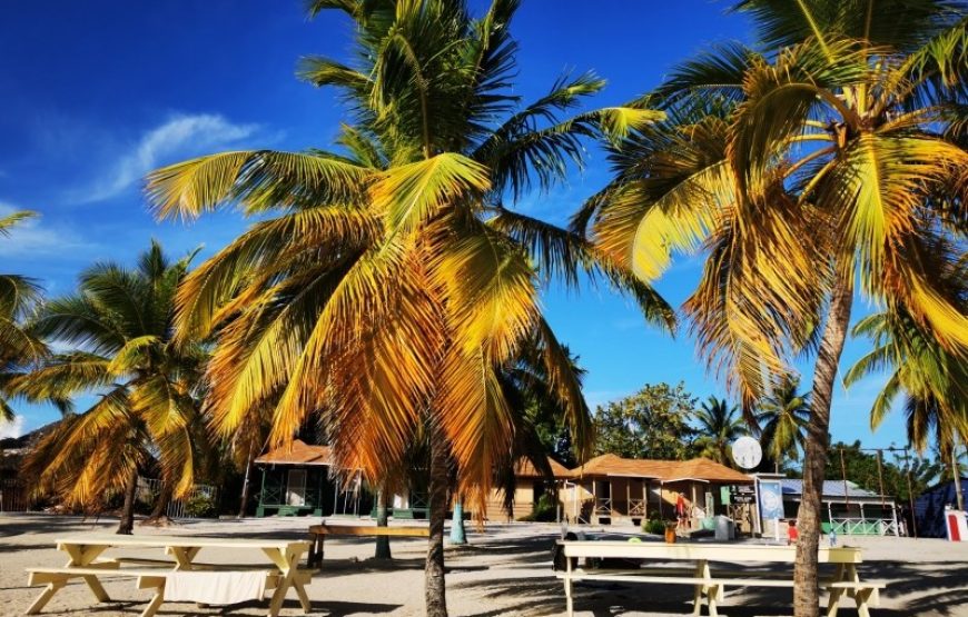 Saona Island Taste of Adventure - No Commercialization.