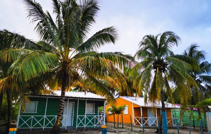 PALMS UNDER THE STARS: Saona Island for 2 days + Santo Domingo.