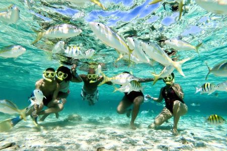 Paradise Island Snorkeling