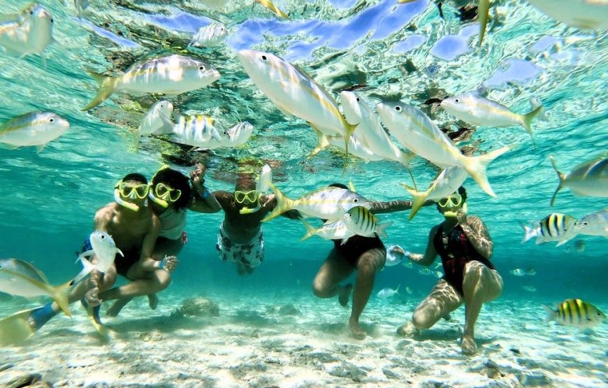 The Paradise Island Catamaran.