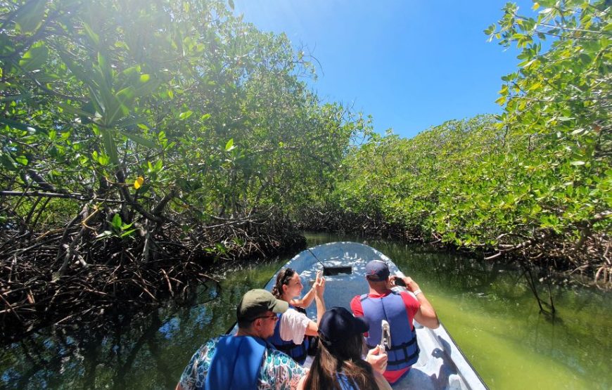 Snorkeling Paradise Island (cruise ship passenger version) 6-7 hours.