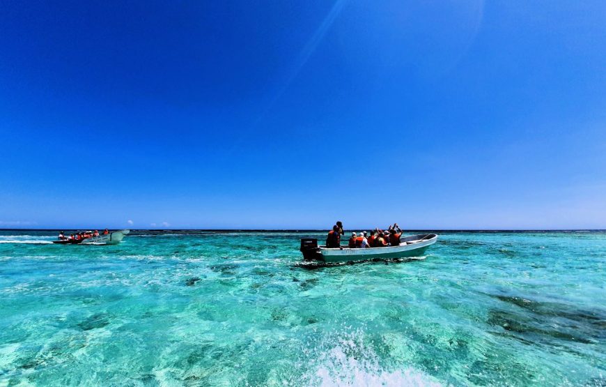 Snorkeling Rajska Wyspa (wersja dla pasażerów statków wycieczkowych) 6-7 godzin