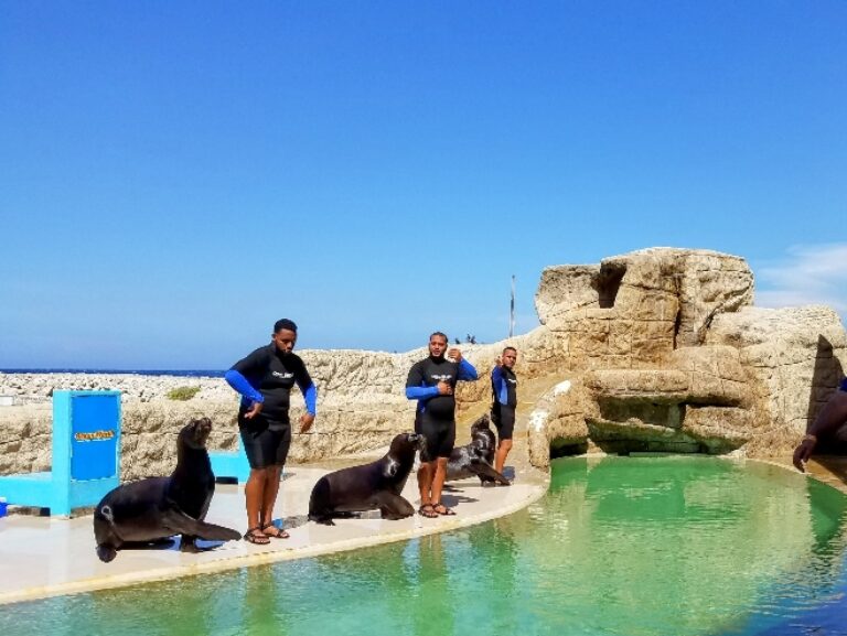 Ocean World Dolphinarium