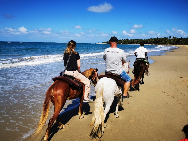 Horseback Riding for Everyone