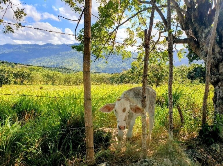 Trekking in the Mountains and Valleys