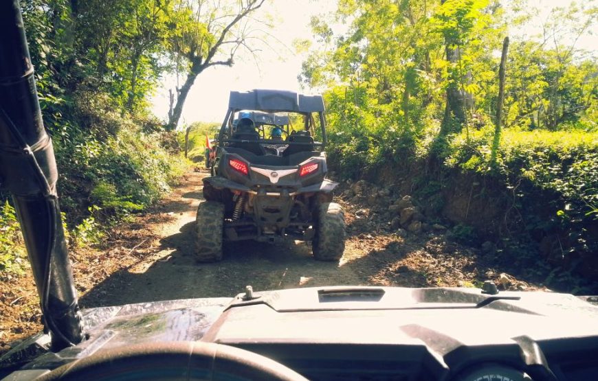 Buggy Puerto Plata