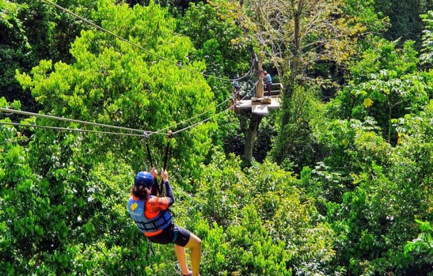 Great 4W1 PACKAGE: Damajagua Falls + Zipline + Lunch + Horseback Riding.