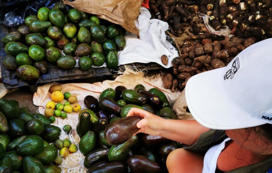 Cocoa, market, cigars and coffee - Dominican Expedition.