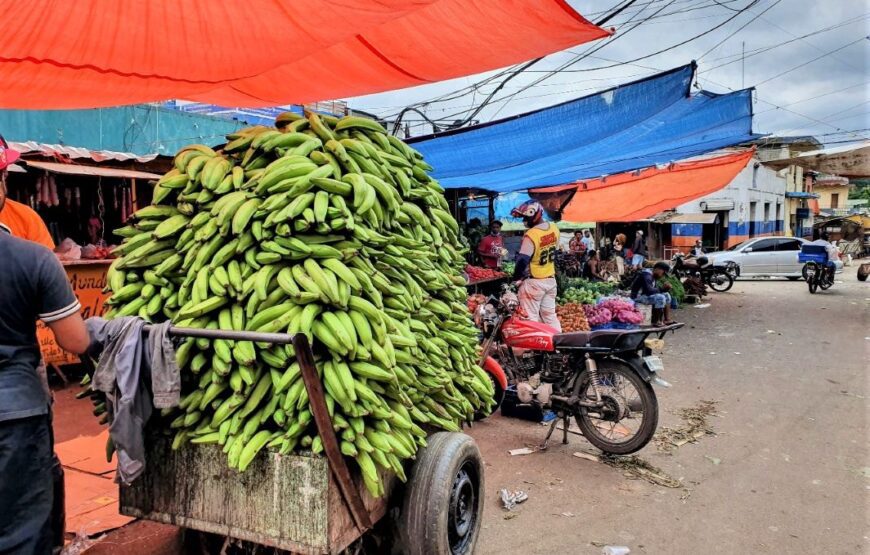 Cocoa, market, cigars and coffee - Dominican Expedition.