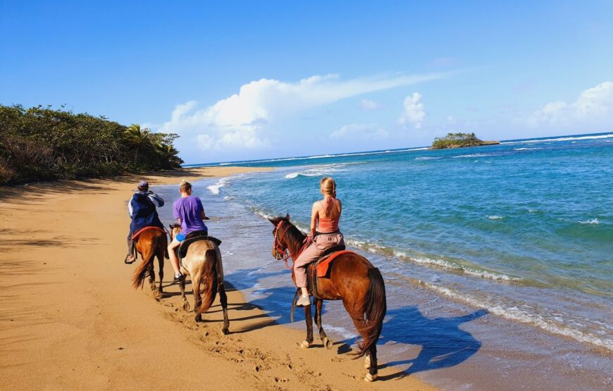 Horseriding Puerto Plata.