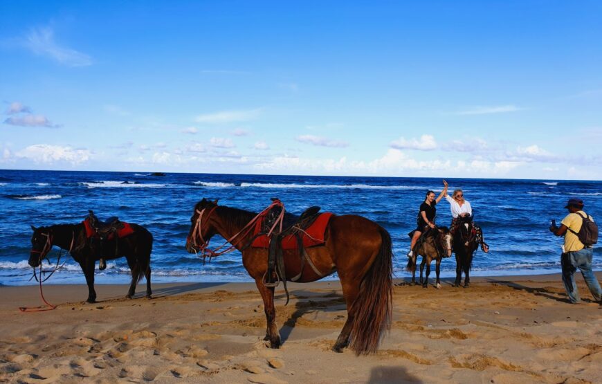 Great 3W1 PACKAGE: Damajagua Falls + Lunch + Horseback Riding.