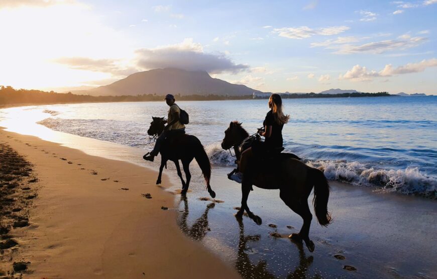 Great 3W1 PACKAGE: Damajagua Falls + Lunch + Horseback Riding.