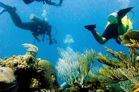 Diving Puerto Plata