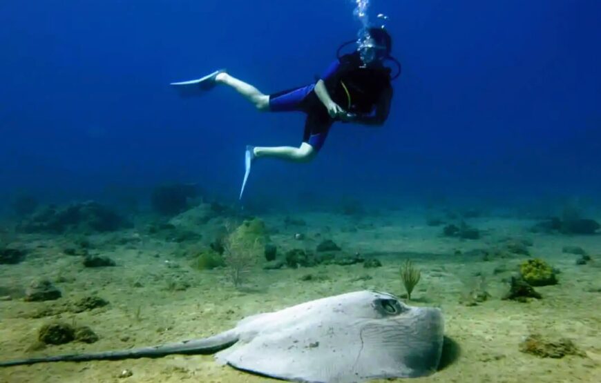 Aquelung diving.