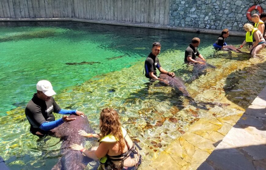 Ocean World Puerto Plata.