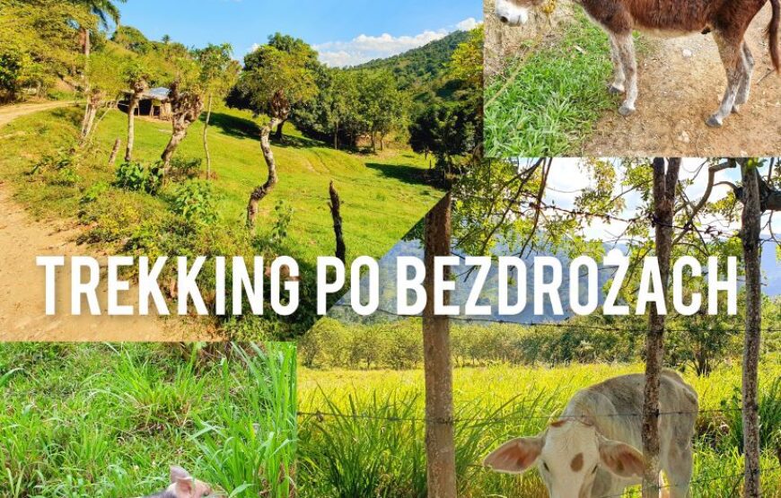 Trekking po Bezdrożach