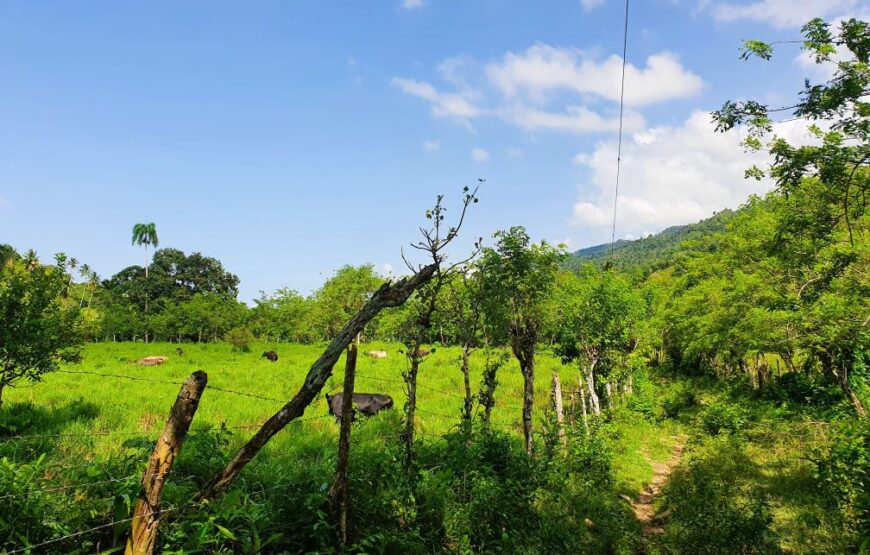 Trekking po Bezdrożach