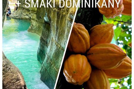 Damajagua Falls + Dominican Flavours