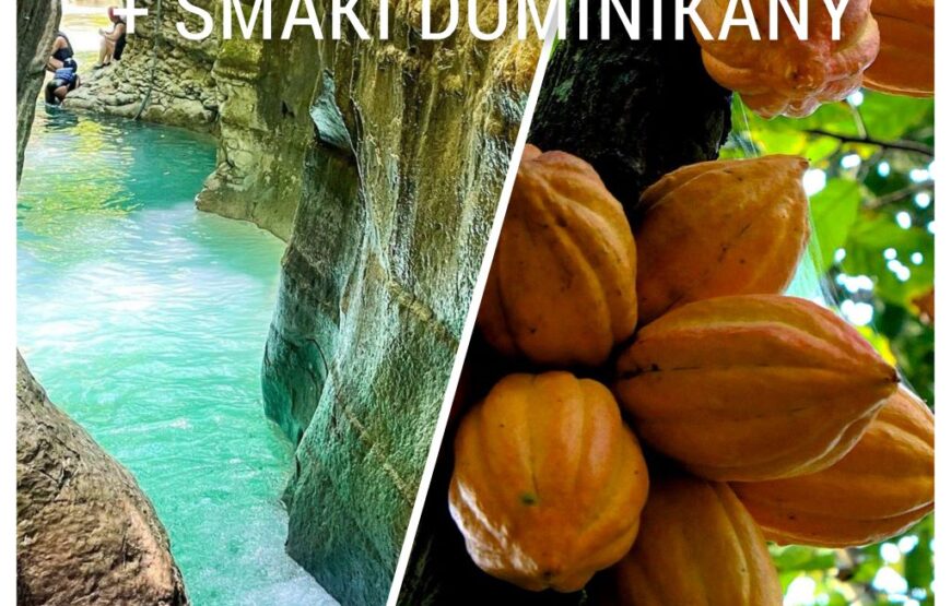 Damasagua Falls + Tastes of the Dominican Republic.