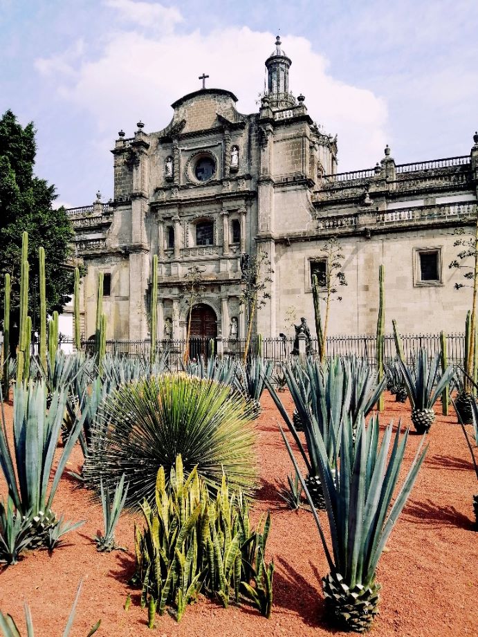 cathedral Mexico