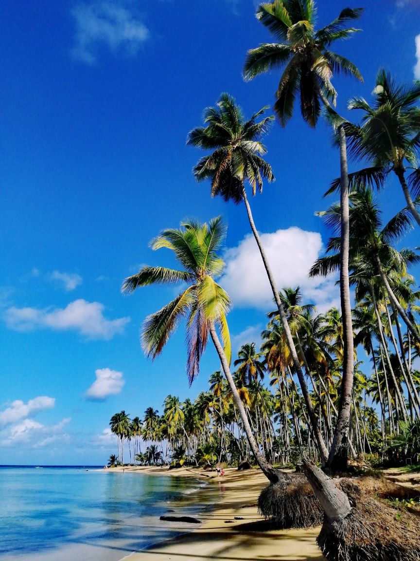 Dominican Republic Beach